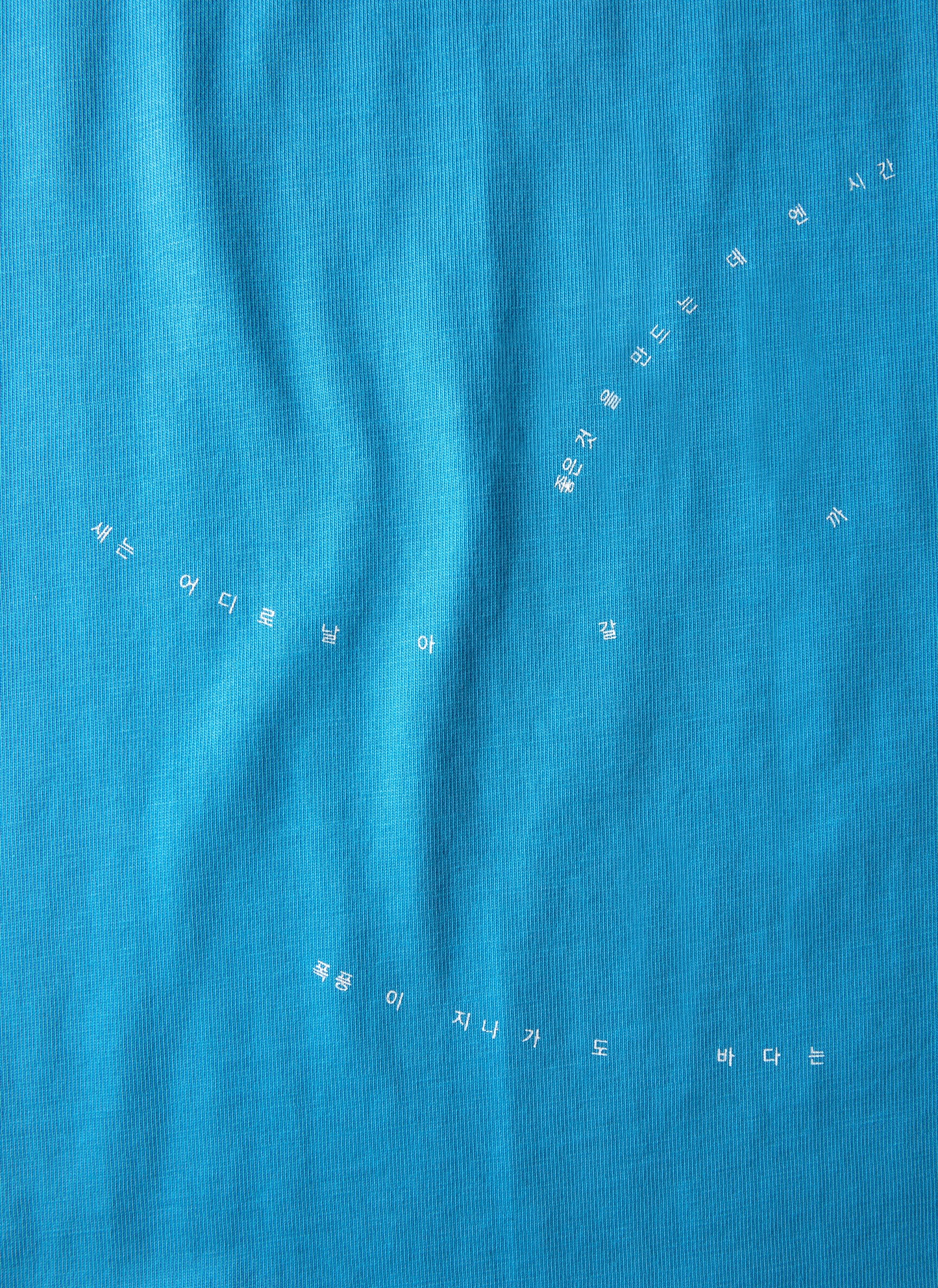 Souvenir Tee 17